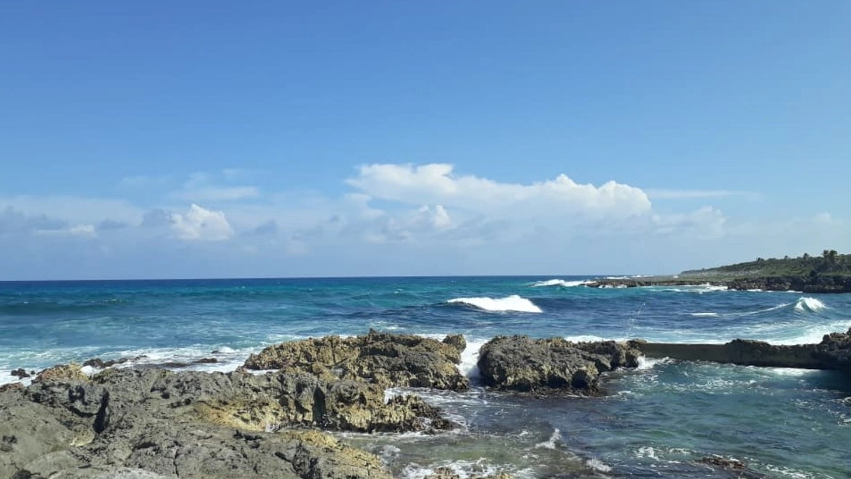 Cofepris alerta por seis playas no aptas para nadar en México