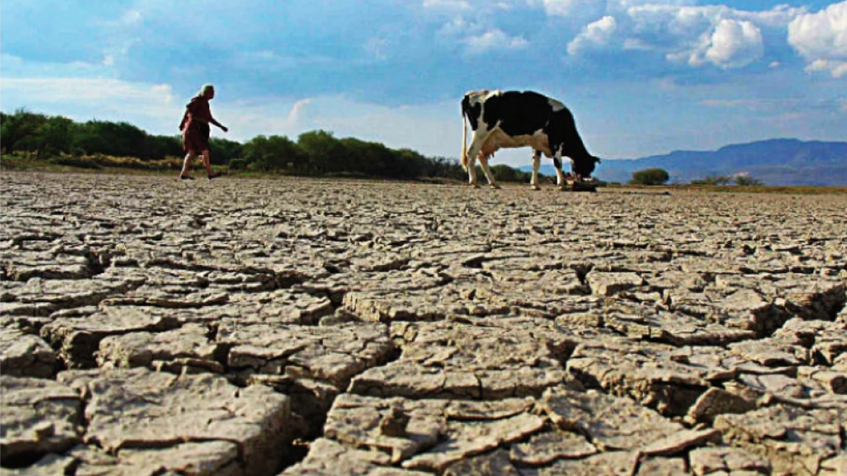 Tabasco y Coahuila encabezan alerta nacional por sequía: 150 municipios afectados en México