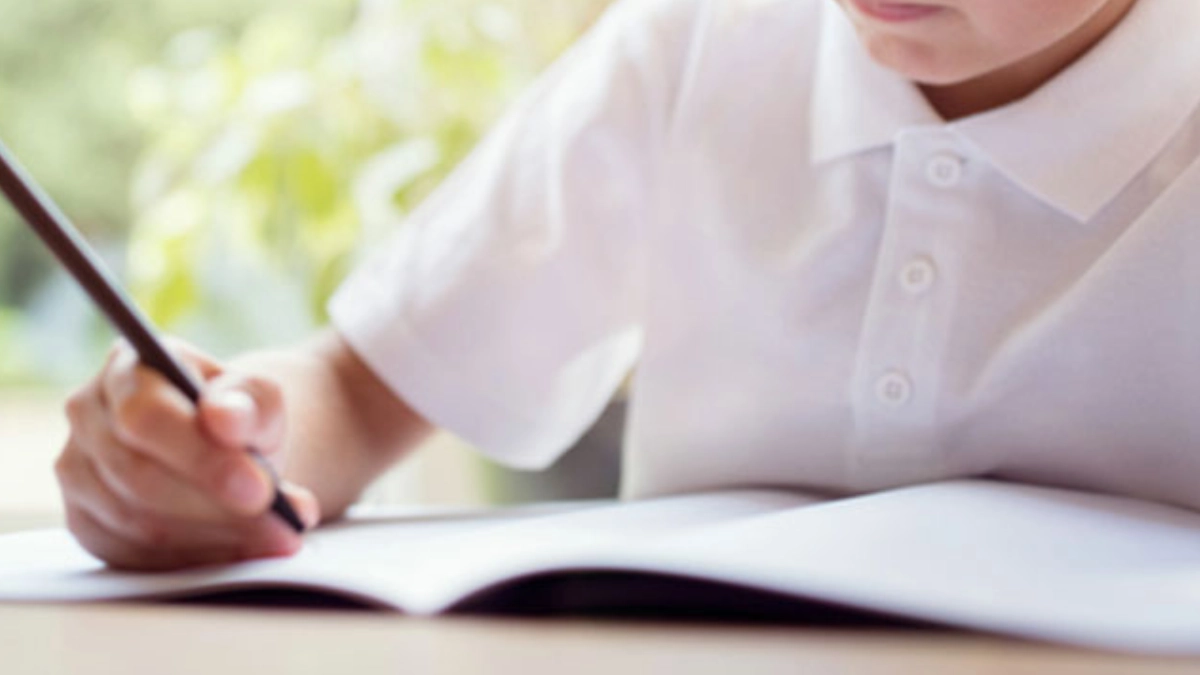 Estudio desmonta mitos sobre la educación de niños superdotados y el desarrollo del talento