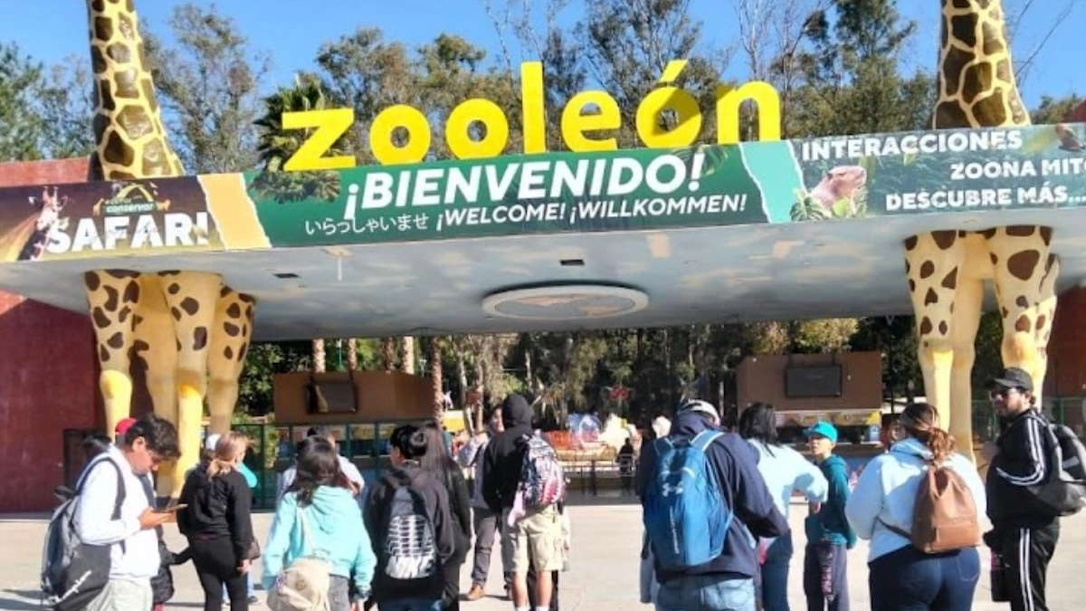 ZooLeón se consolida como opción familiar en Navidad y Año Nuevo
