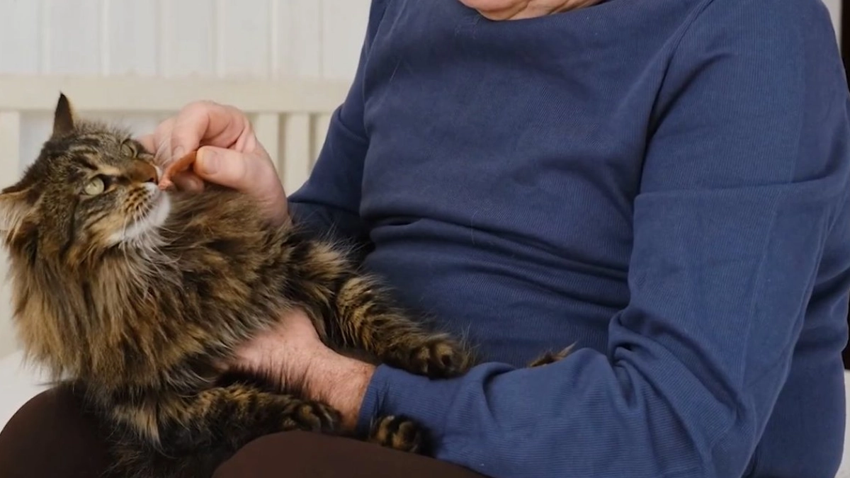 UNAM alerta sobre el síndrome del Arca de Noé, un trastorno que combina abandono humano y maltrato animal