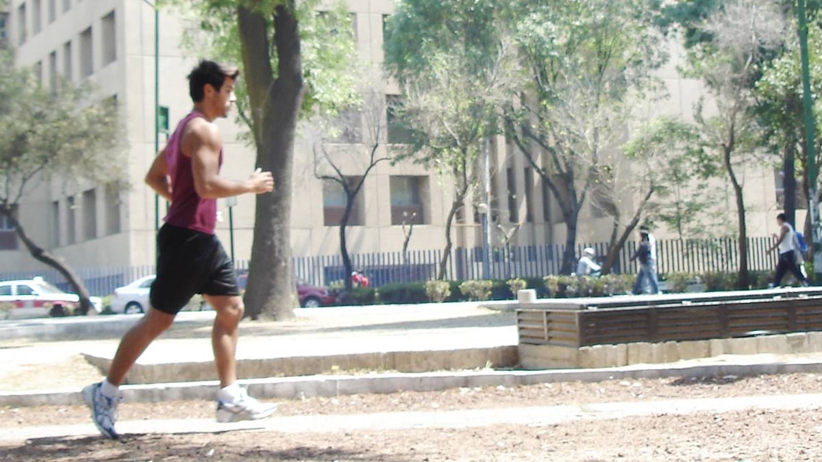 Solo 44.5% de los adultos en México realizó actividad física en 2025; cae el nivel suficiente para la salud