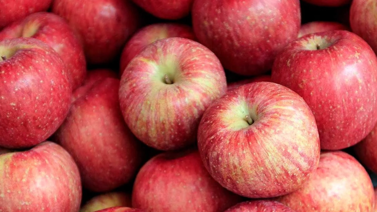 Autoridades investigan posibles prácticas desleales en manzana importada de EU