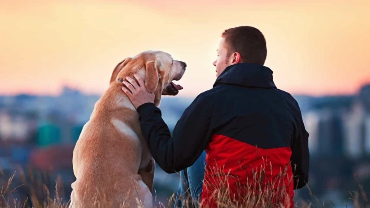Tener un perro puede reducir el riesgo de infarto y mortalidad cardiovascular, advierten expertos de la UNAM