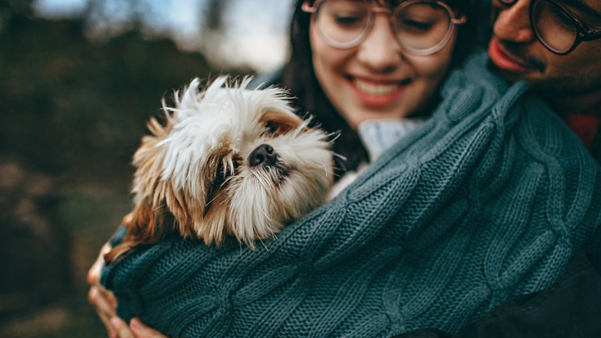 Más mascotas, menos hijos: cambia el modelo familiar en México, advierten especialistas