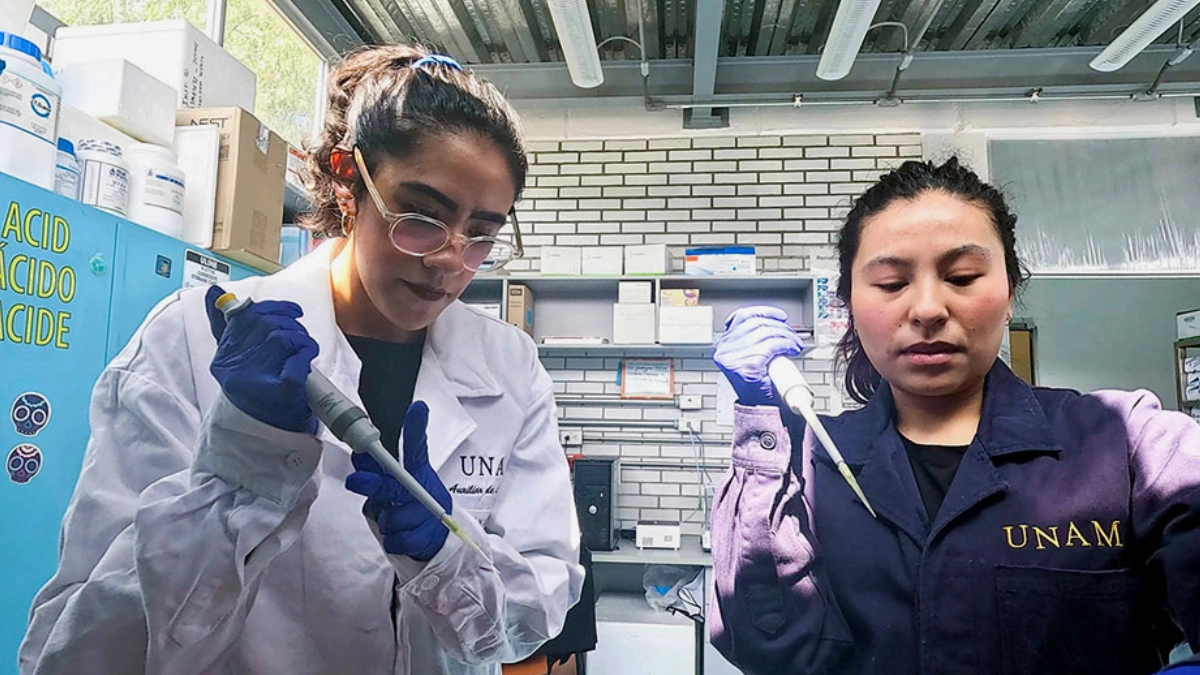 La UNAM impulsa en CDMX el primer sistema de vigilancia genómica contra la resistencia a los antibióticos