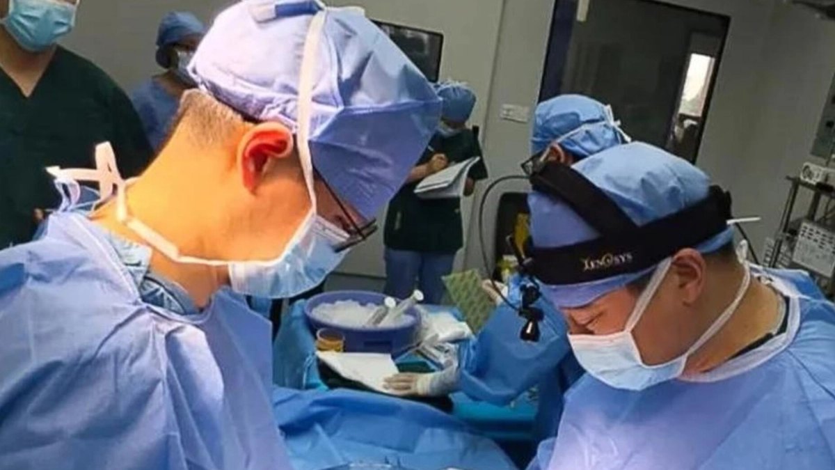 Usan hígado de cerdo modificado como soporte temporal en humano