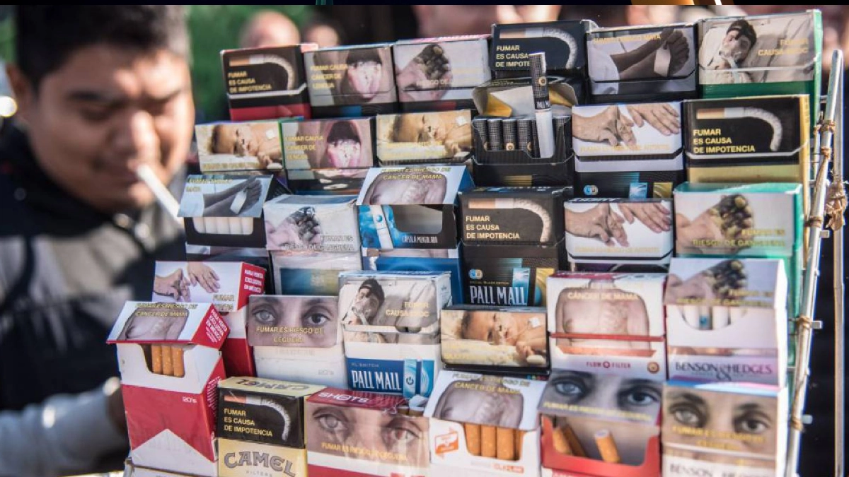 Cajetillas de cigarros deberán advertir daños a mascotas y al medio ambiente a partir de 2026