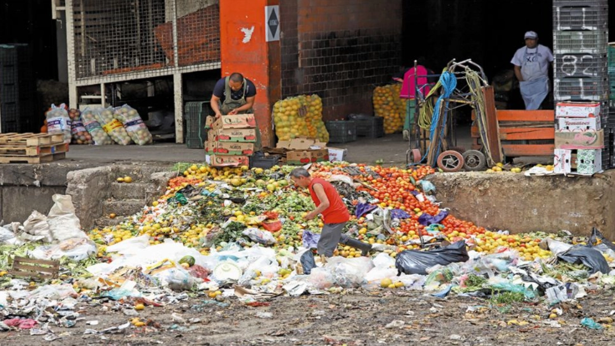 Desperdicio alimentario en México, un problema con alto costo ambiental
