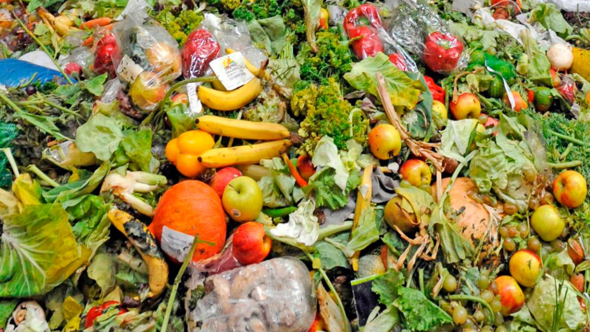 México, entre los países que más desperdician alimentos y agravan el impacto ambiental