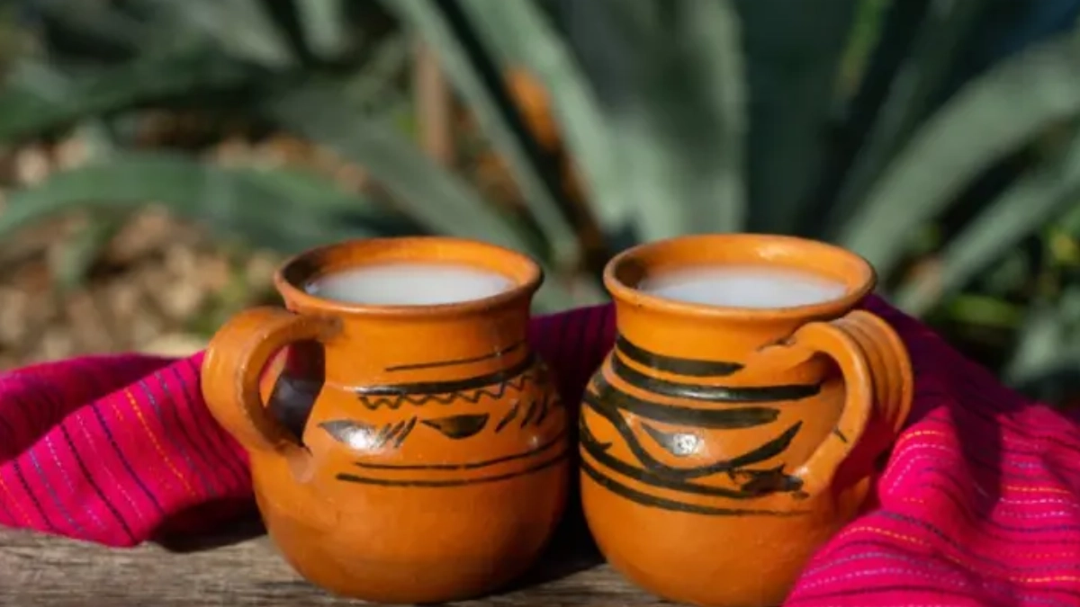 IMPI declara al ‘Pulque de Tlaxcala’ como Indicación Geográfica Protegida