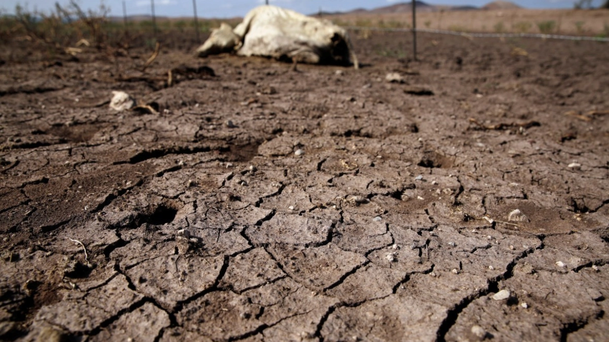 México registra el nivel más bajo de sequía en seis años: solo 7.4 % del territorio afectado