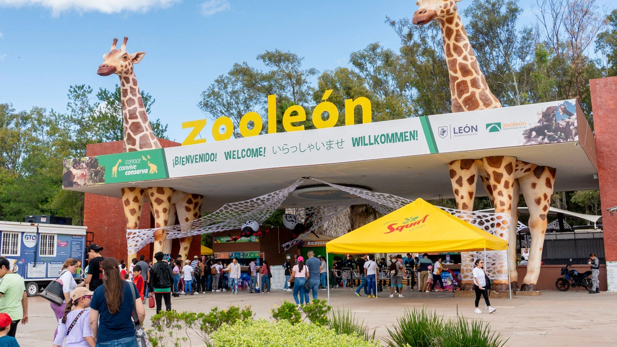 Revoca Consejo del Zoológico de León designación de nuevo director general