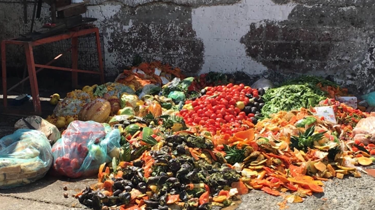 Desperdicio de alimentos en México provoca pérdida masiva de agua y agrava crisis ambiental