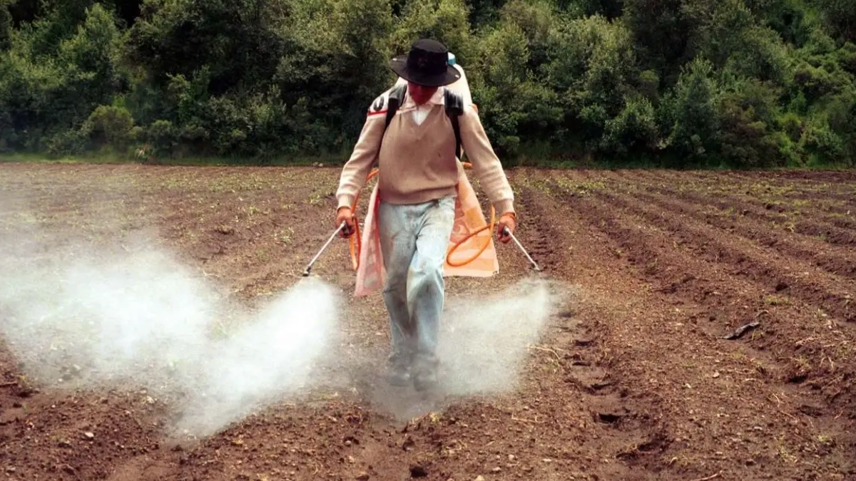 ONU urge a México crear leyes sobre sustancias químicas y plaguicidas peligrosos