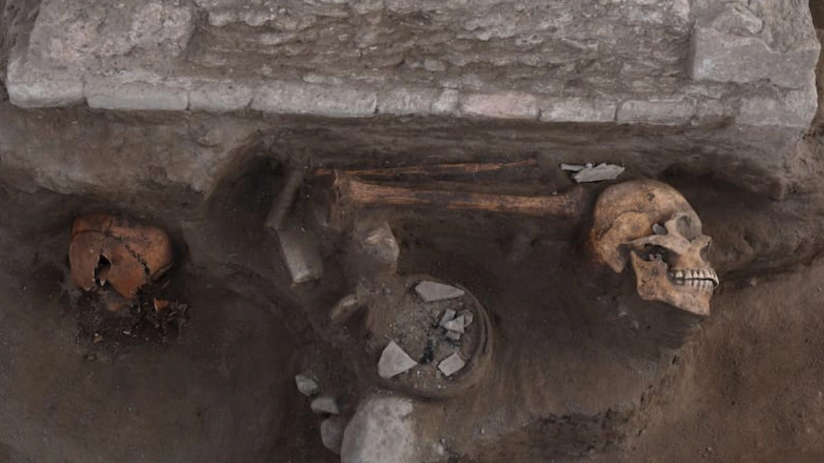 Descubren altar tolteca con restos humanos durante obras del tren México-Querétaro