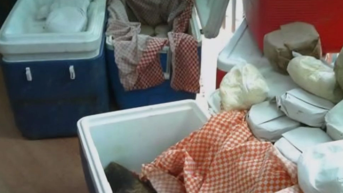 Profeco sanciona venta de tortillas en hieleras; multas podrían alcanzar hasta 4 millones de pesos