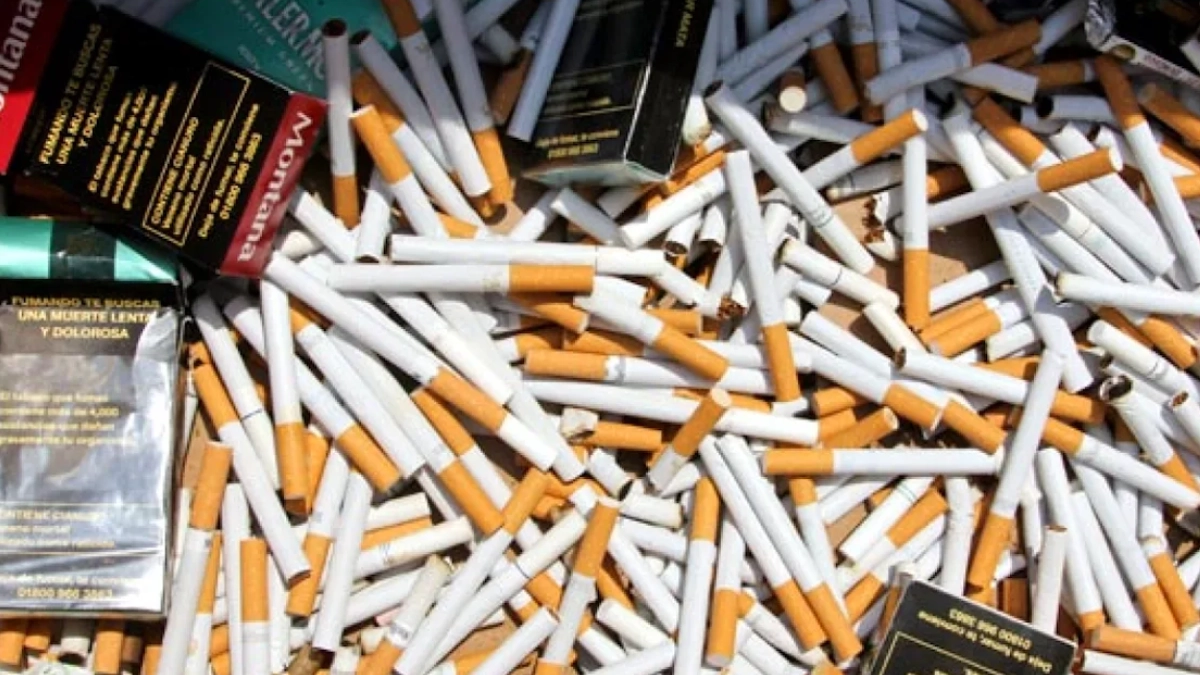 Comercio ilícito de tabaco domina mercado en América; uno de cada tres cigarros es ilegal: PMI