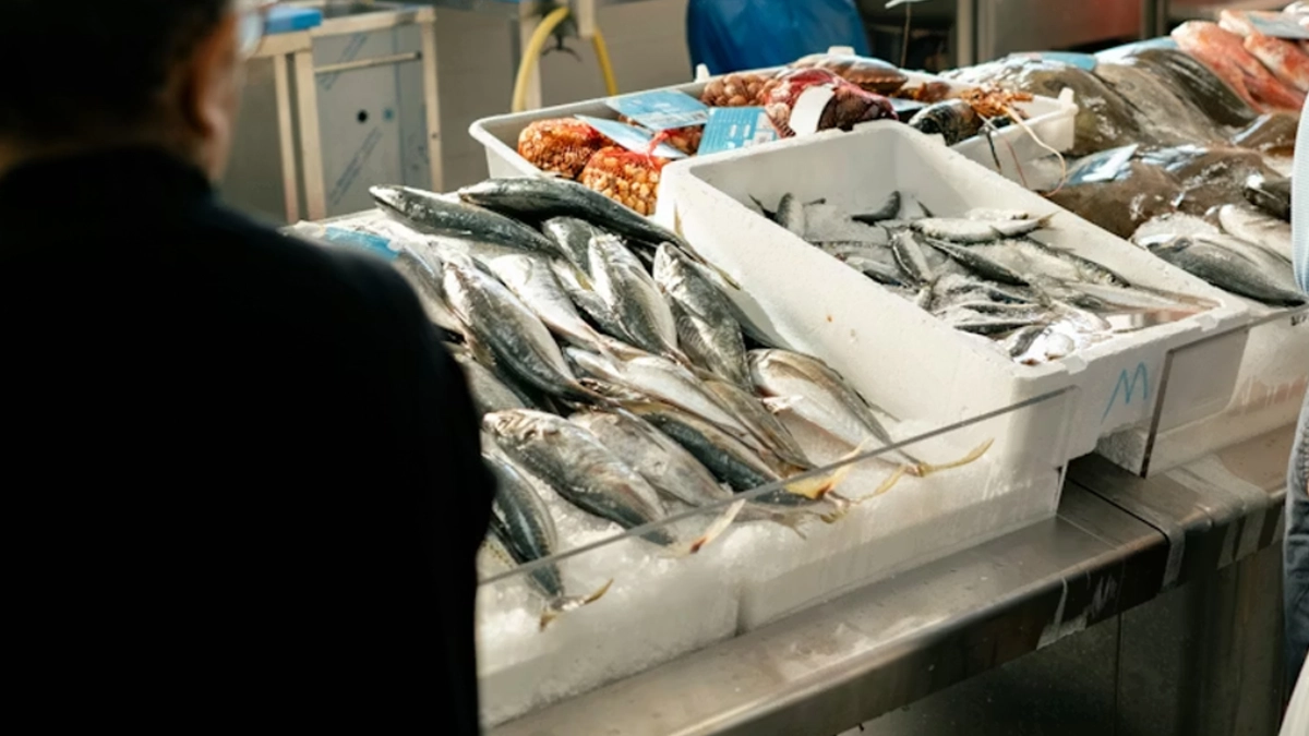 Fraude en pescados en México alcanza 38% y duplica promedio mundial