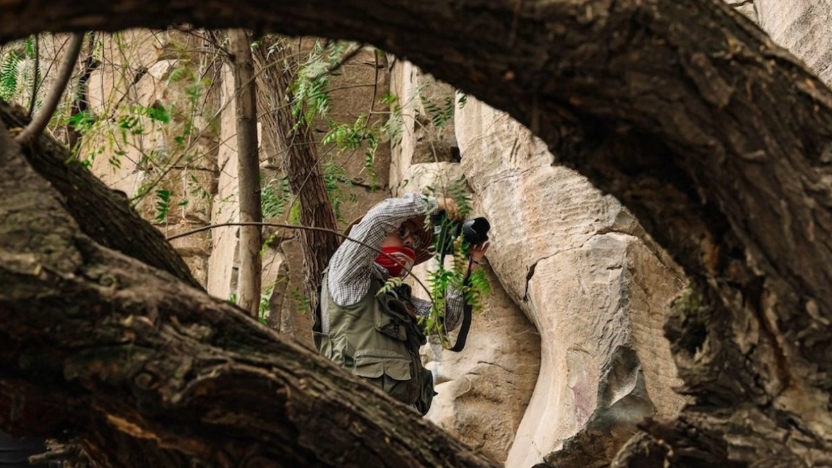 Descubren arte rupestre milenario en obras del Tren México-Querétaro en Hidalgo