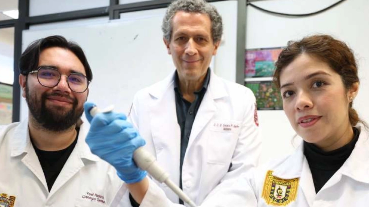 Instituto Politécnico Nacional logra regenerar hueso, músculo y cartílago con células madre