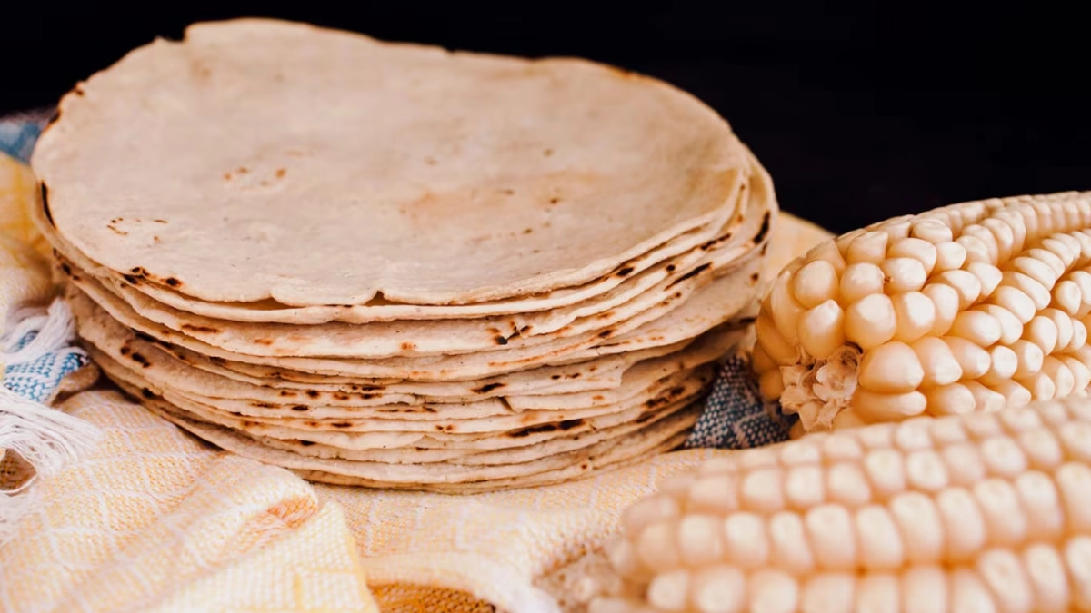 La tortilla de maíz rompe mitos y se reafirma como alimento clave de la nutrición mexicana