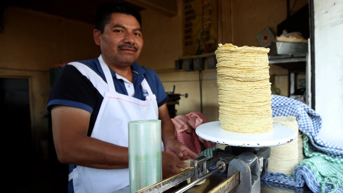Gobierno federal descarta aumento en precio de la tortilla y refuerza vigilancia nacional