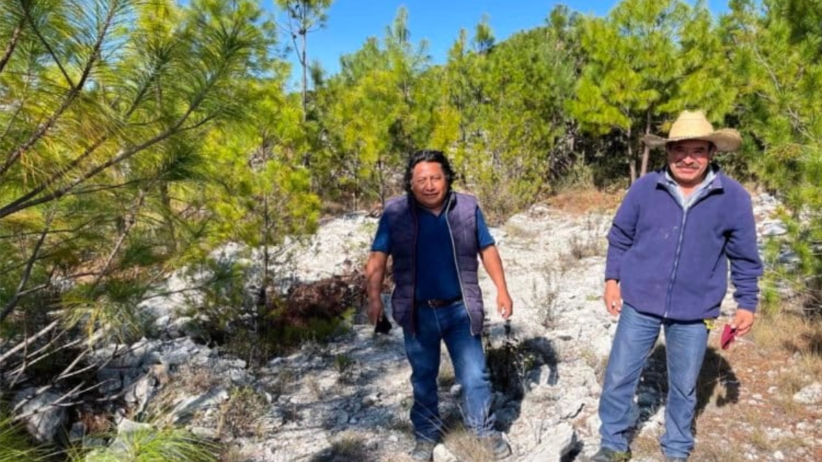 Comuneros de Oaxaca revierten desastre ecológico y recuperan más de 20 mil hectáreas en la Mixteca