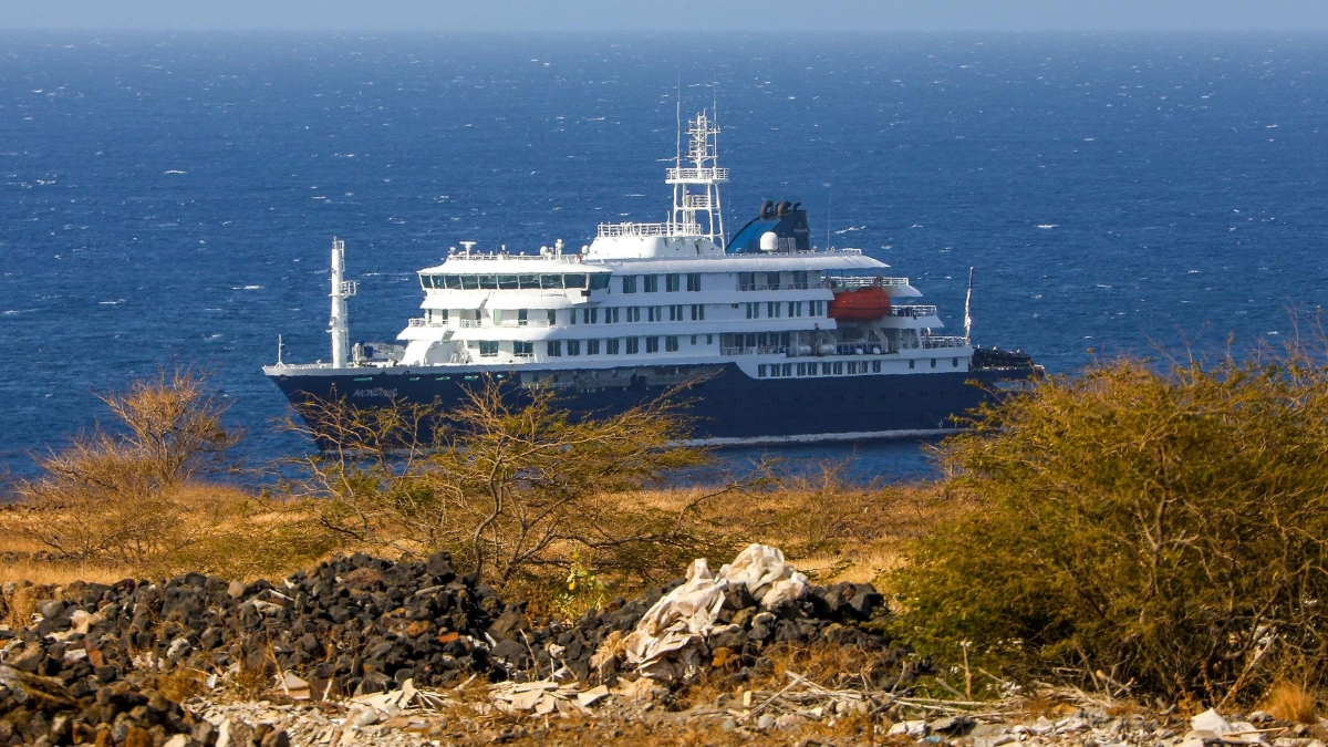 OMS coordina respuesta internacional por brote de hantavirus en crucero; evalúan escala en Canarias