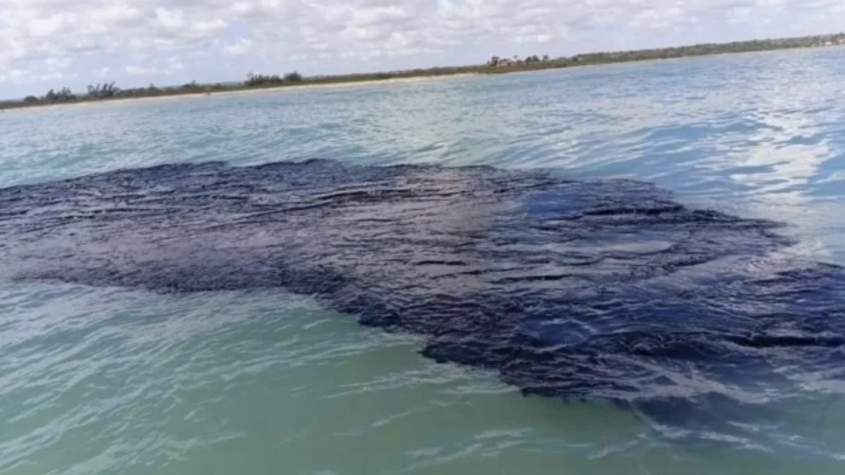 Greenpeace denuncia a Pemex y exige investigar presunto ocultamiento de información por derrame en el Golfo de México
