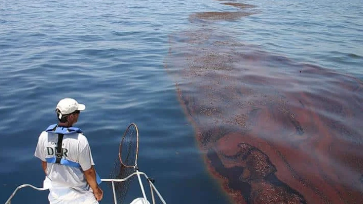 Greenpeace presenta dos denuncias por derrame de hidrocarburos en el Golfo de México