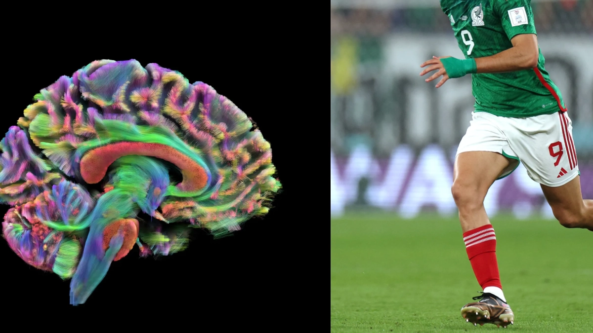 Mundial 2026: la pasión por el futbol transforma temporalmente el cerebro de los aficionados