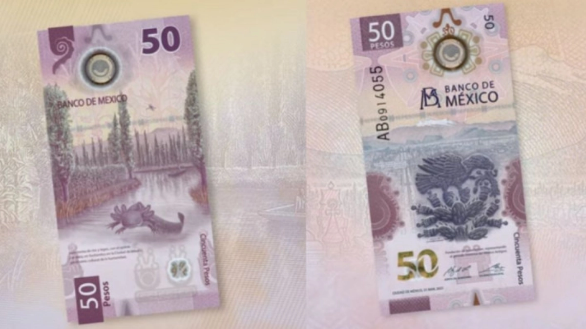 Billete del ajolote se convierte en pieza de colección; más de 11 millones de mexicanos prefieren guardarlo