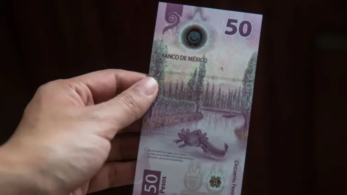 Billete del ajolote conquista a los mexicanos; casi 10 millones prefieren guardarlo que gastarlo