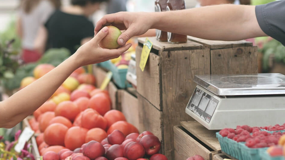 México reduce la inseguridad alimentaria a su nivel más bajo en una década; 8.6 millones dejaron de padecerla: FAO