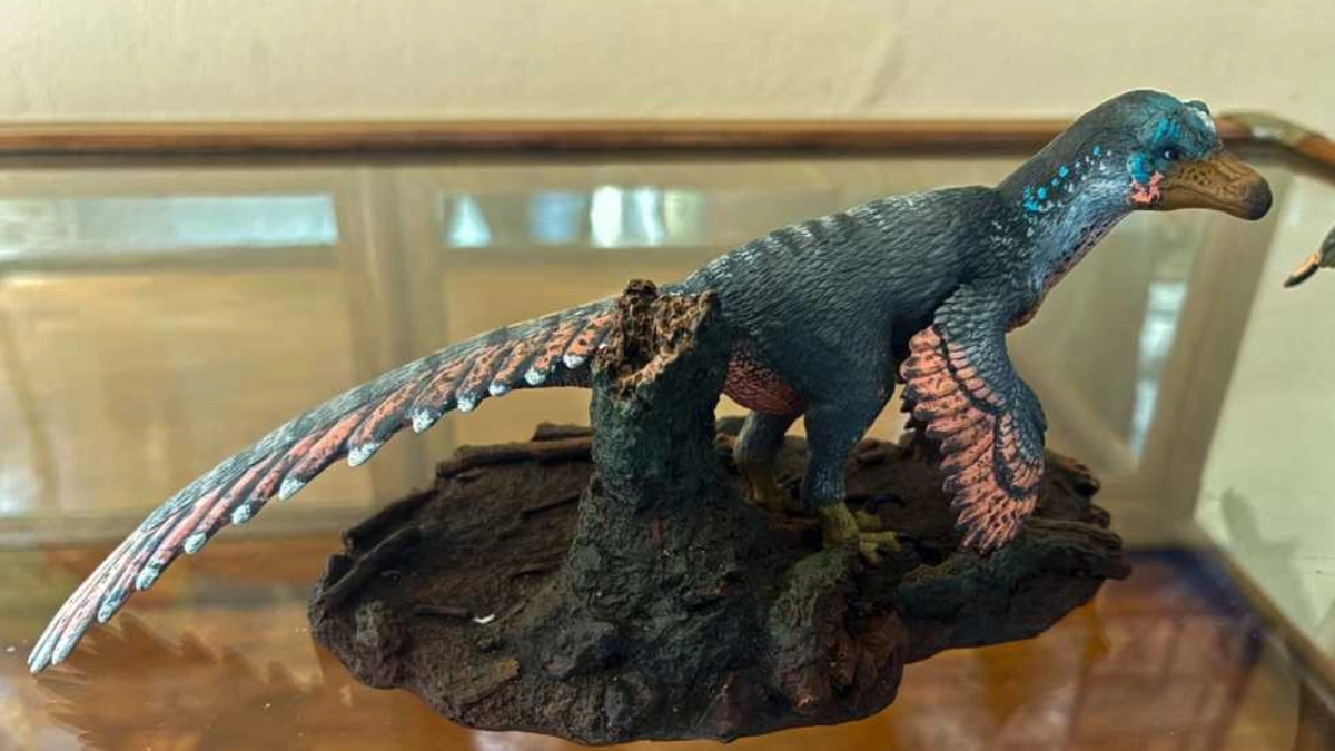 Descubren en Coahuila nueva especie de dinosaurio y la nombran en honor a paleontólogo de la UNAM