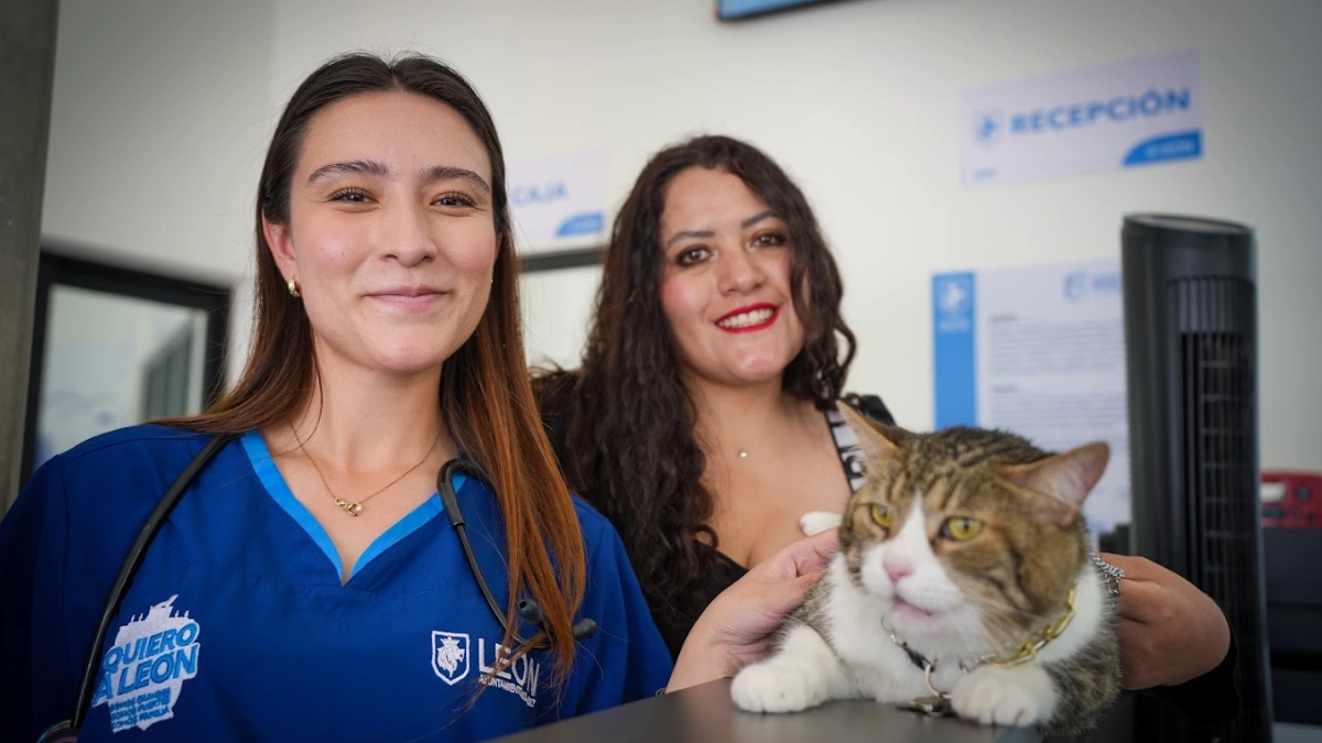 Hospital de Mascotas León 450 supera 67 mil atenciones en su primer año y consolida a León como referente en bienestar animal