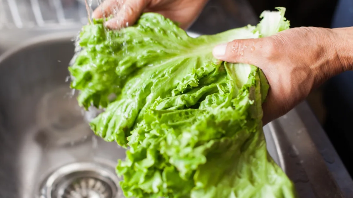 FDA mantiene investigación y apunta a planta de Taylor Farms en México por brote de Cyclospora en Estados Unidos