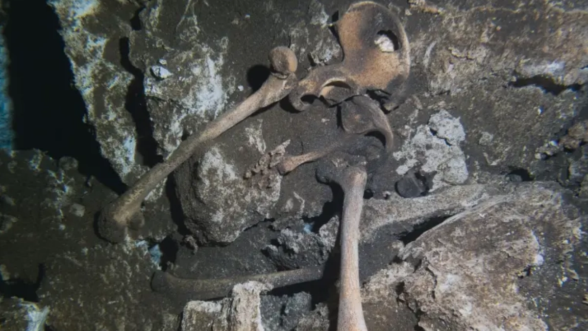 INAH descubre en cenote de Quintana Roo restos de una joven con más de 500 años de antigüedad potencial