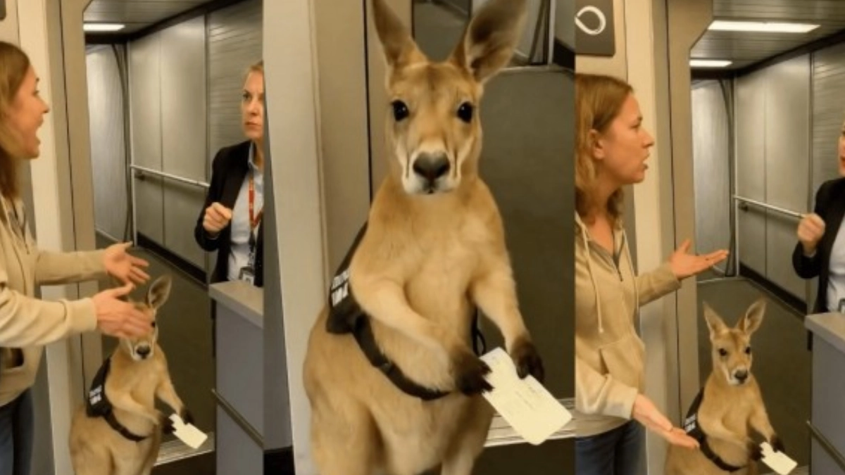 Imágenes de animales creadas con IA pueden poner en riesgo a la fauna silvestre