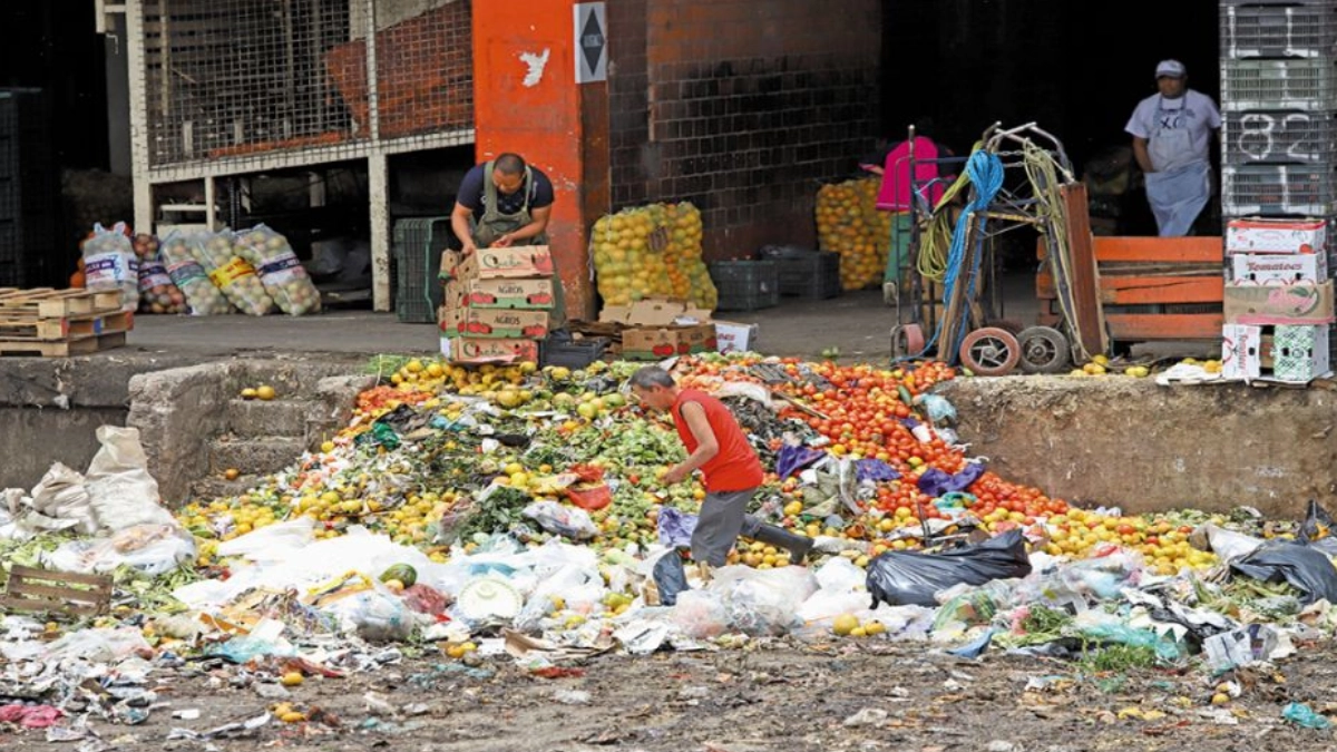 México desperdicia 38 toneladas de alimentos por minuto; urgen cambios para frenar la crisis alimentaria y ambiental