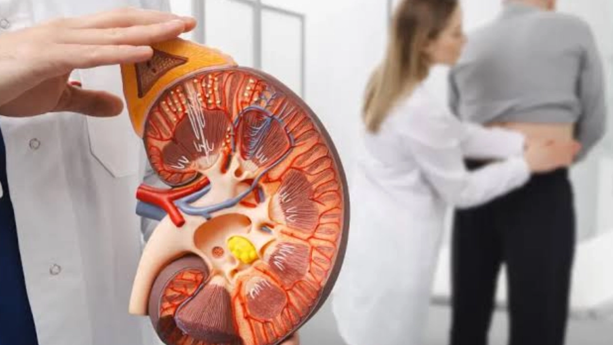 Enfermedad renal avanza sin síntomas: UNAM alerta sobre riesgos del consumo excesivo de sal