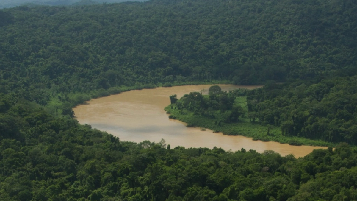 Solo queda entre 6 y 12% de las selvas tropicales originales de México