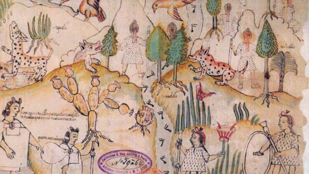 Códice Azcatitlán vuelve a México en una exposición, mientras continúa el reclamo por su restitución