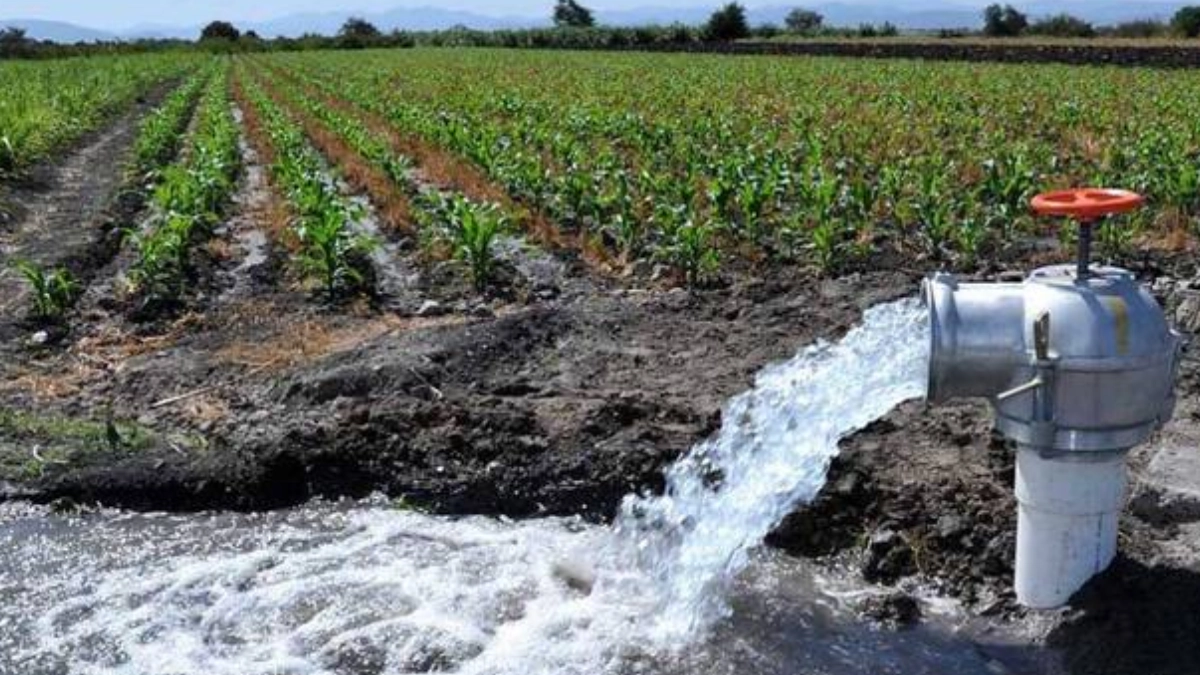 México enfrenta sobreexplotación de agua; 44% de sus acuíferos tienen disponibilidad limitada