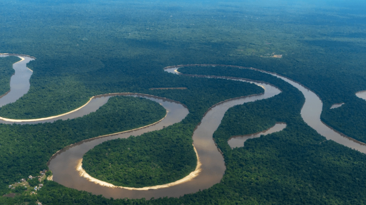 Amazonia alberga más de 2 mil 700 especies de peces de agua dulce