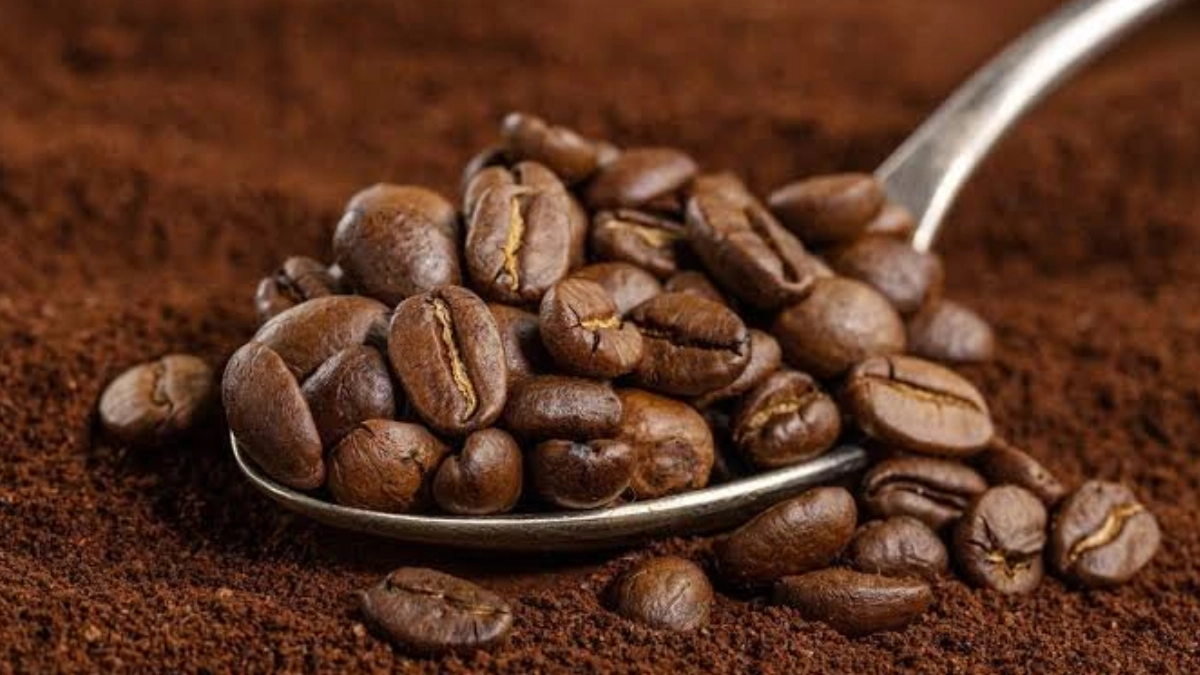 Estados Unidos concentra 68% de las exportaciones de café mexicano