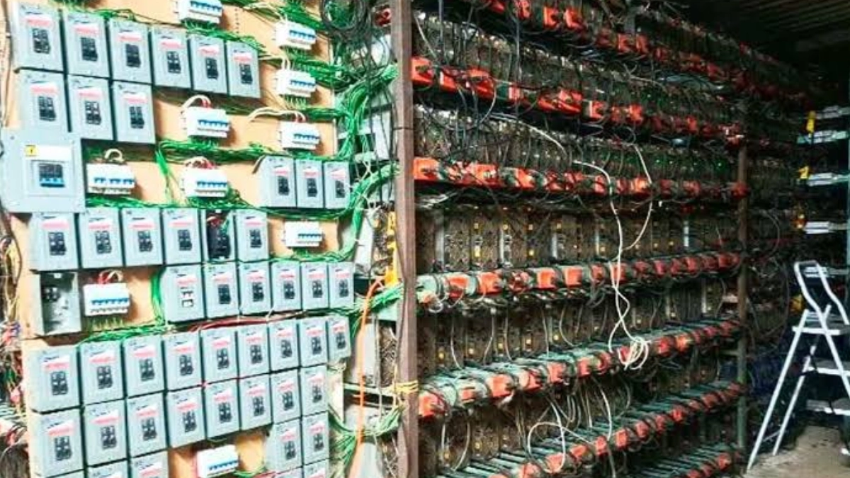Aseguran presunta granja de criptomonedas con 300 equipos en Puebla