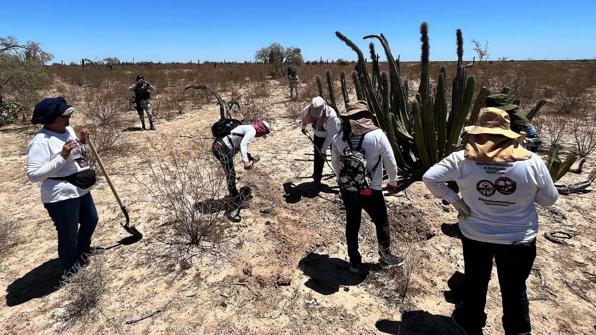 ONU pide a México reforzar protección para mujeres buscadoras ante violencia y desapariciones