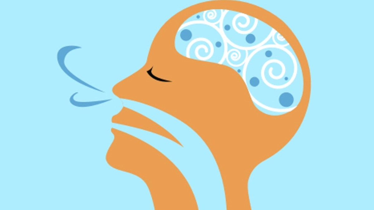 Cada respiración deja una “huella” en el cerebro, revela estudio científico